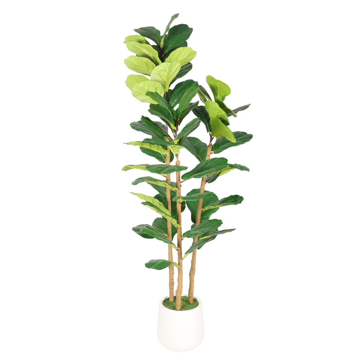62" Artificial Fiddle Leaf Fig Tree in White Pot