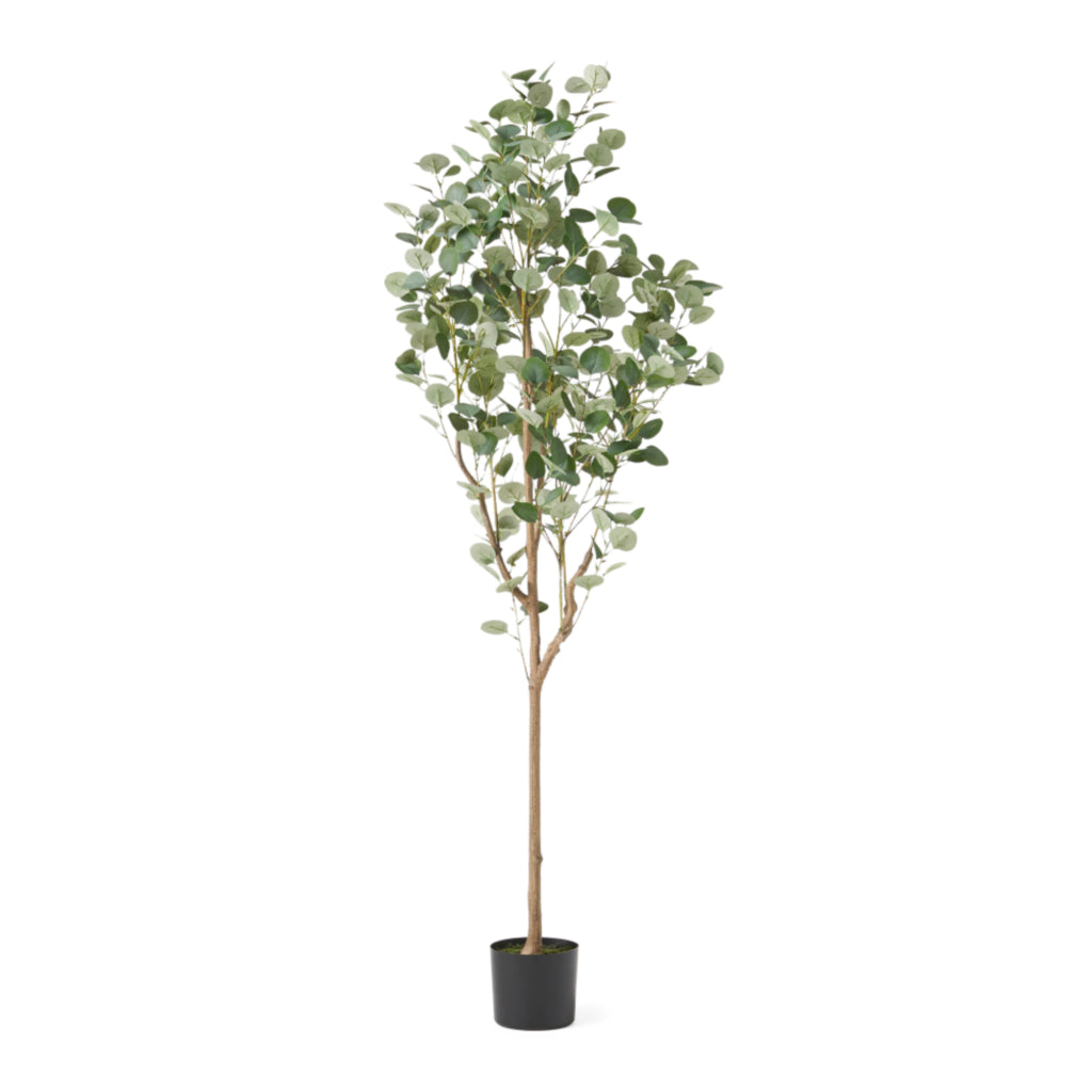 71" Artificial Eucalyptus Tree in Black Cylindrical Pot