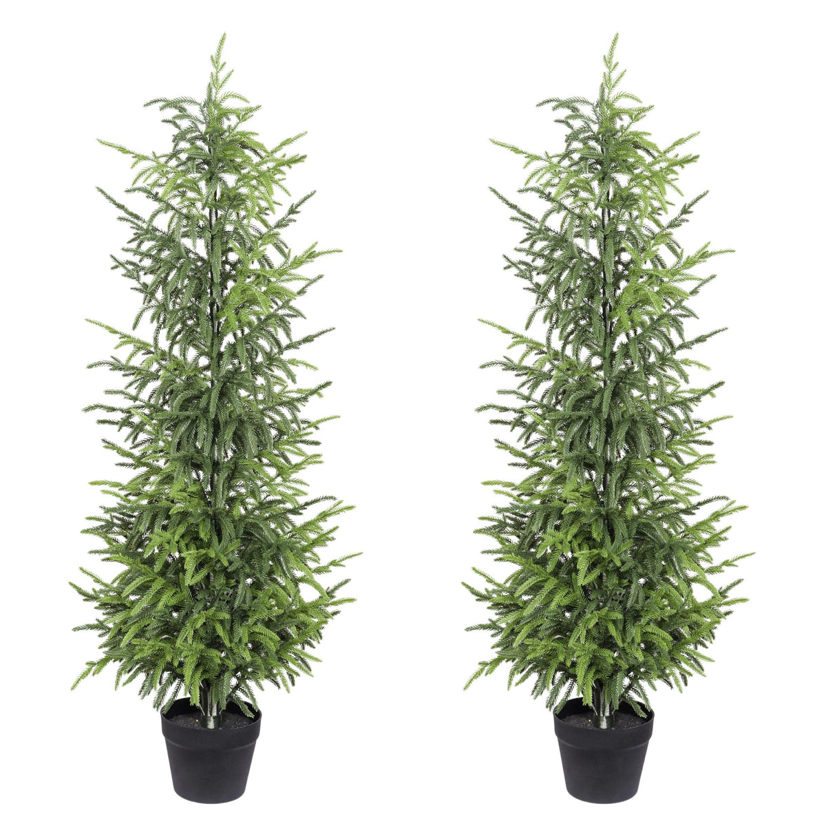 Set of 2 60" Artificial Pine Trees in Black Pots