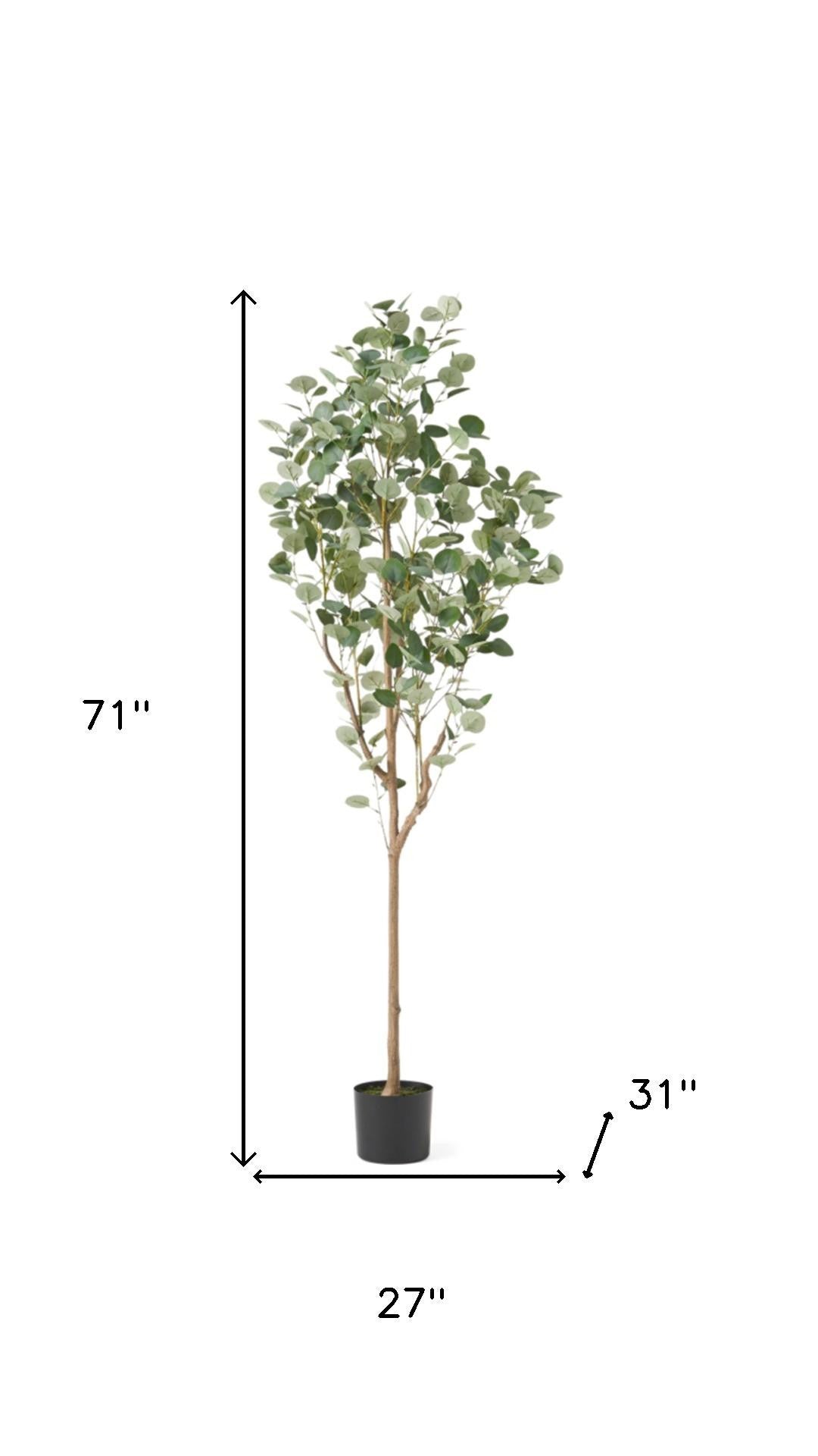 71" Artificial Eucalyptus Tree in Black Cylindrical Pot